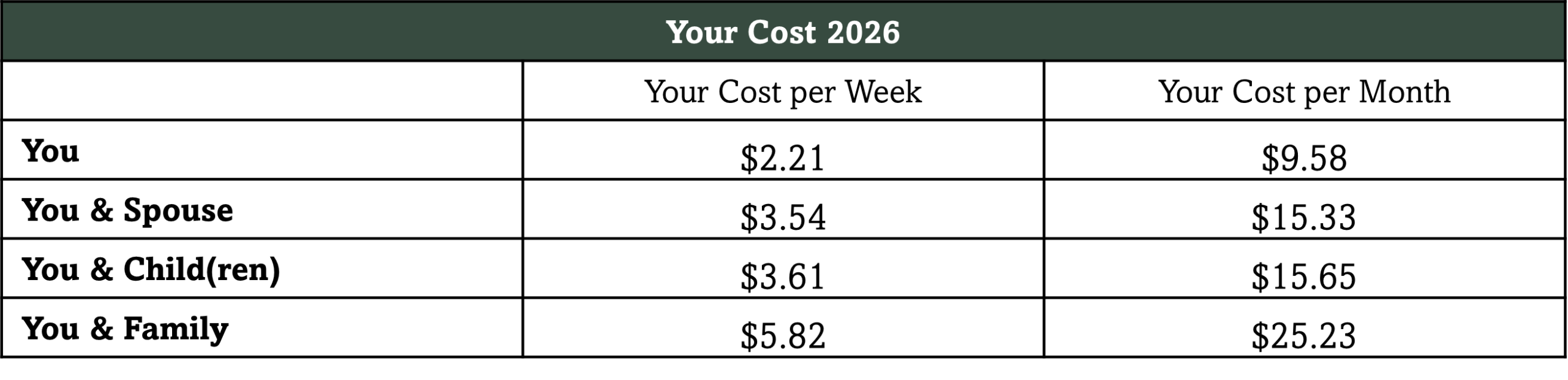 vision contributions